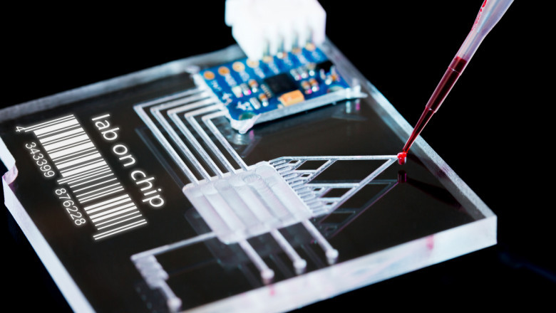 Lab On A Chip Devices Typically Have An Electrical Circuitry, Electrodes, Sensors, And Microchannels