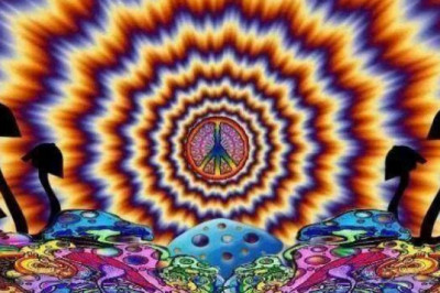 Mushrooms Online Near