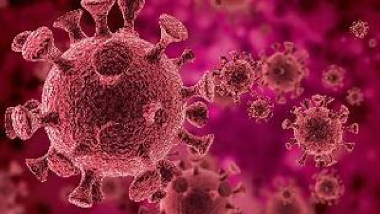 Plasma Protein Therapeutic Market Size, Share, Regional Overview and Global Forecast to 2028