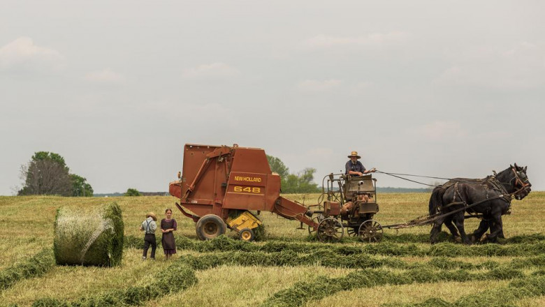 where to find guest blogging opportunities on eskorts