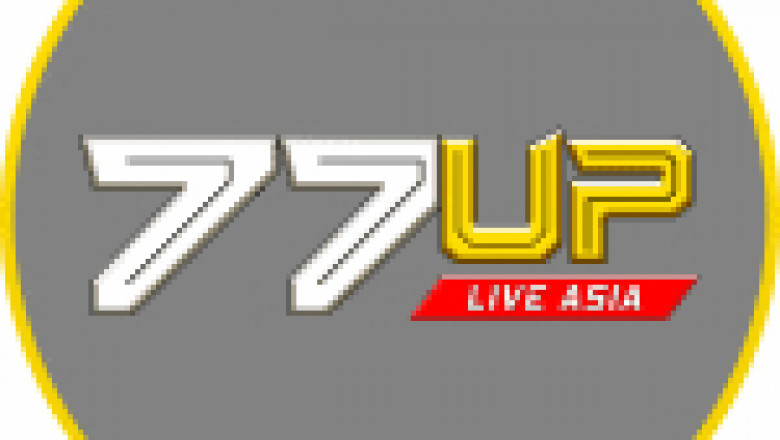 Why Should You Opt For 77Up Sport Bet?
