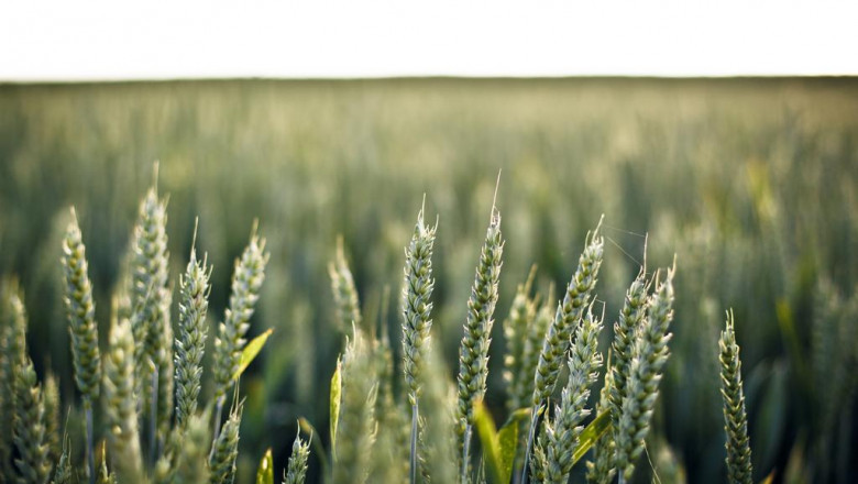 15 people you oughta know in the prote these google kostos industry