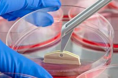 Cell Therapy Biomanufacturing Market 2022 | Industry Demand, Fastest Growth, Opportunities Analysis and Forecast To 2028
