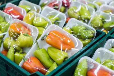 Food Packaging Equipment Market Size, In-depth Analysis Report and Global Forecast to 2028
