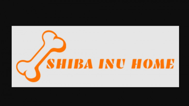 Is usually a Shiba Inu The ideal Dog For you personally?