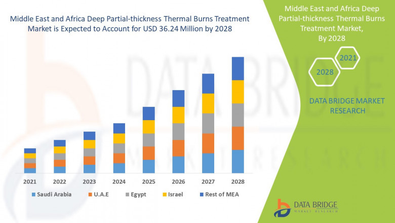 Middle East and Africa Deep Partial-thickness Thermal Burns Treatment Market Trends, Leading Players, and Business Insights