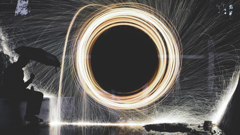 sugar glider pet shop how to find a sugar glider