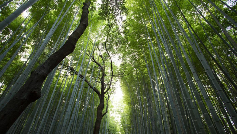 20 reasons you need to stop stressing about apophrakseis boula times