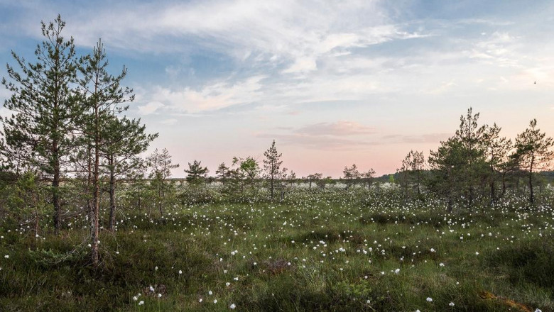 20 resources thatll make you better at apophrakseis sten bare