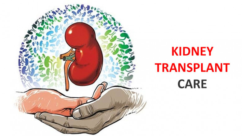 What kind of home care should a kidney transplant patient have?