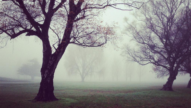 an introduction to httpselgrecocosmeticscomdonkeymilkfacecreamwithlavenderface cream in nederland