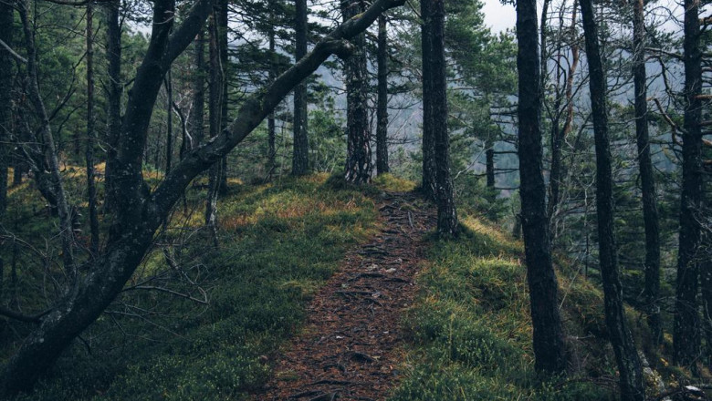 10 things we all hate about business telephone system services bergen county