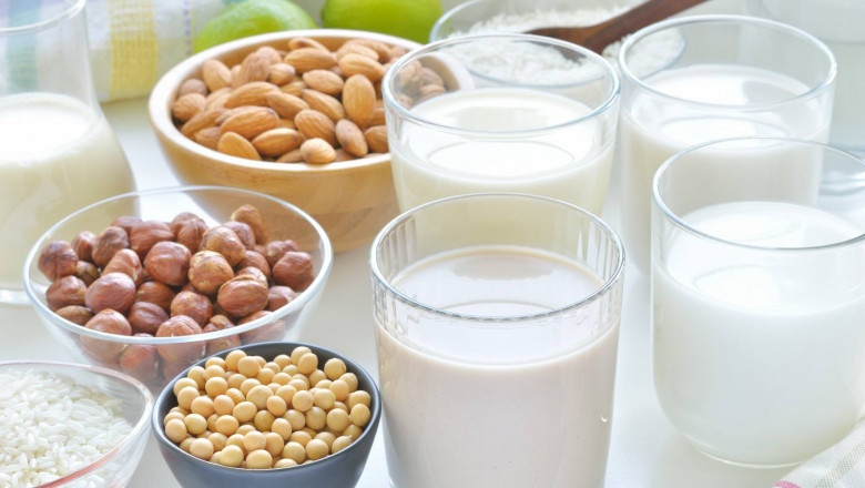 Dairy Nutritional and Nutraceutical Ingredients Market Outlook