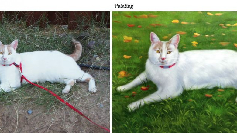Different Types of Paintings & Characteristics of Paintings