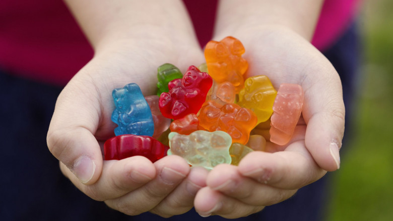 During the Forecast Period, the Adult Segment is Expected to Have the Highest Growth Rate in the Gummy Vitamins Market