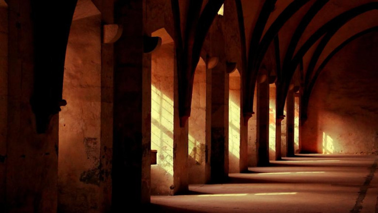 le peppe portable eco wood fired pizza oven wppo pizza oven