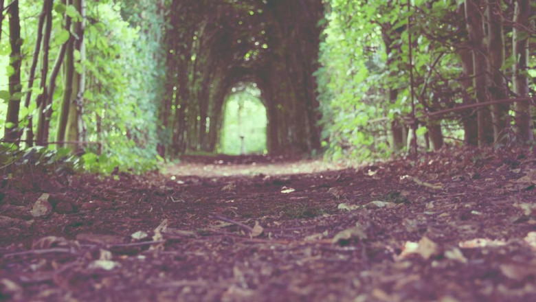 the 3 greatest moments in wholesaleing history