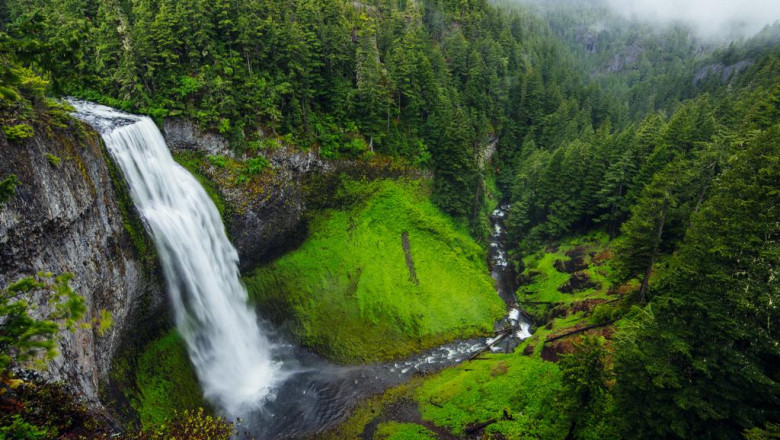 7 things about easy dinner recipes for family of 5 youll kick yourself for not knowing