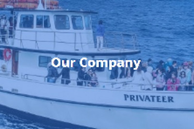 Best whale watching tours in San Diego with fantastic humpback whale