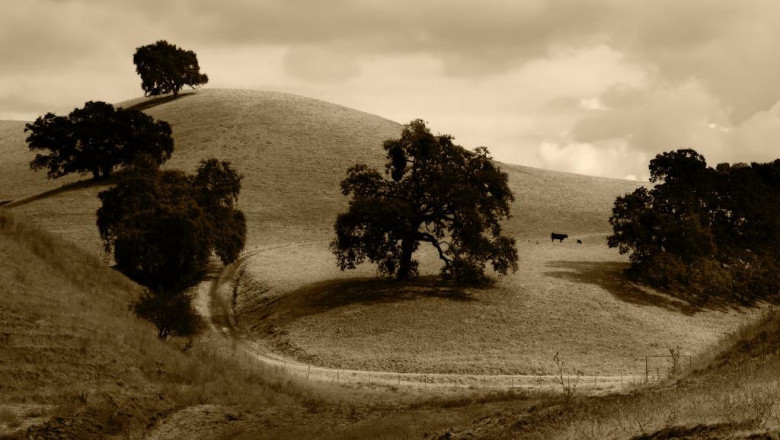 boost your structure and also photography with bespoke electronic pictures