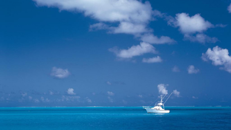 enhance your style and design and likewise pictures with bespoke digital pictures