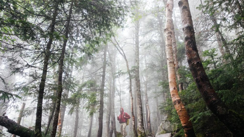 woodburning llc outdoor pizza ovens wppo portable pizza oven