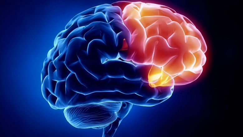 Neuroscience is the study of the development, structure, and use of the nervous system