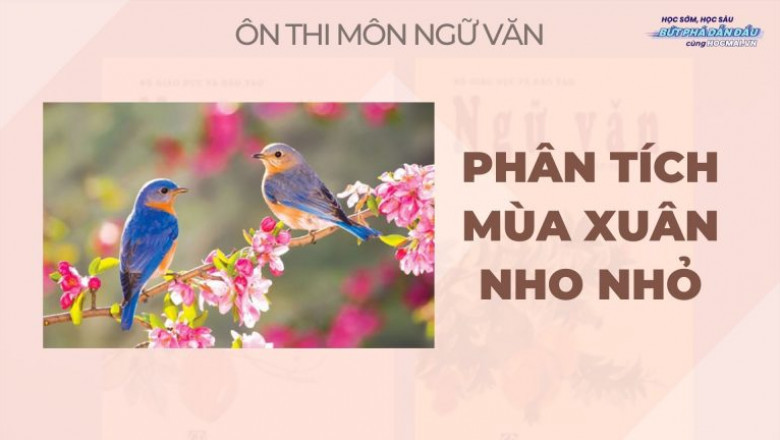 Soan van 9 - Phan tich bai Mua xuan nho nho