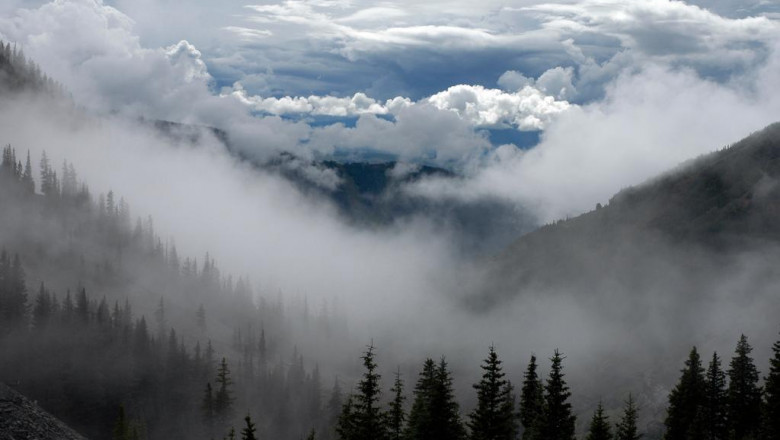 the debate around aba