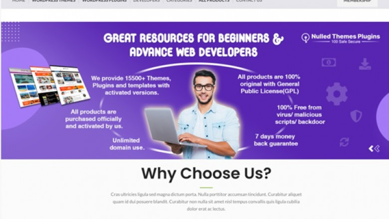 Tips on how to Uncover the very best WordPress Theme for the Business