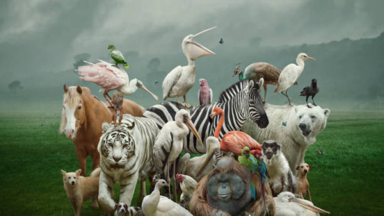 Welcome to Ssndobscc