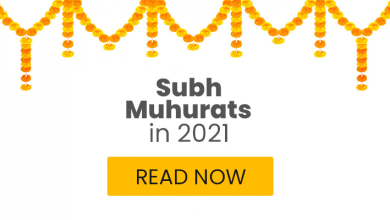 Best Astrologer in Raipur