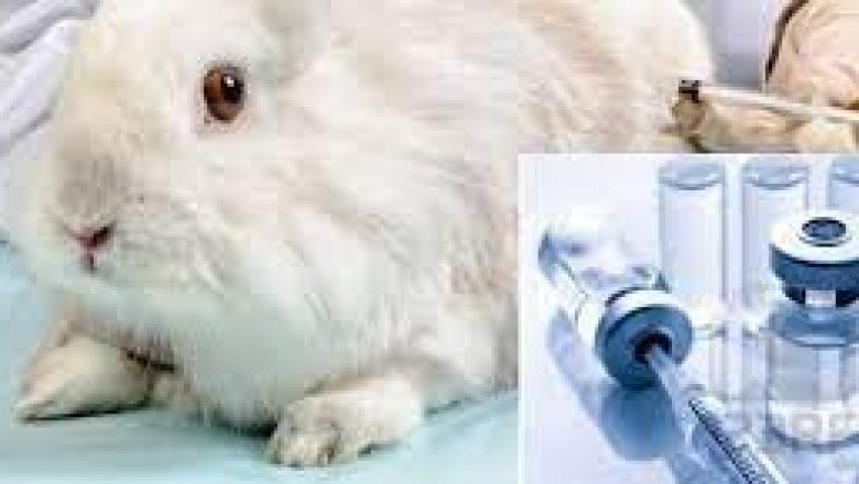 Global Pyrogen Testing Market 2022 - Top Key Players Analysis Report Till 2028