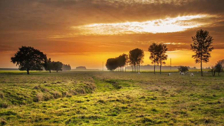 soffit boards freefoam soffit boards roof soffits windows london ontario