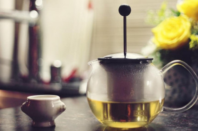 whats the current job market for bravo super probiotic yogurt professionals like