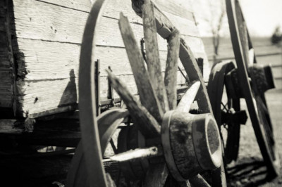 10 facts about bravo yogurt reviews that will instantly put you in a good mood