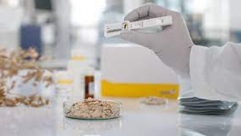 Global Mycotoxin Testing Market Report, Latest Trends, Industry Opportunity & Forecast to 2028