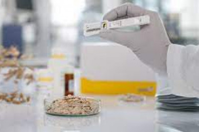 Global Mycotoxin Testing Market Report, Latest Trends, Industry Opportunity & Forecast to 2028