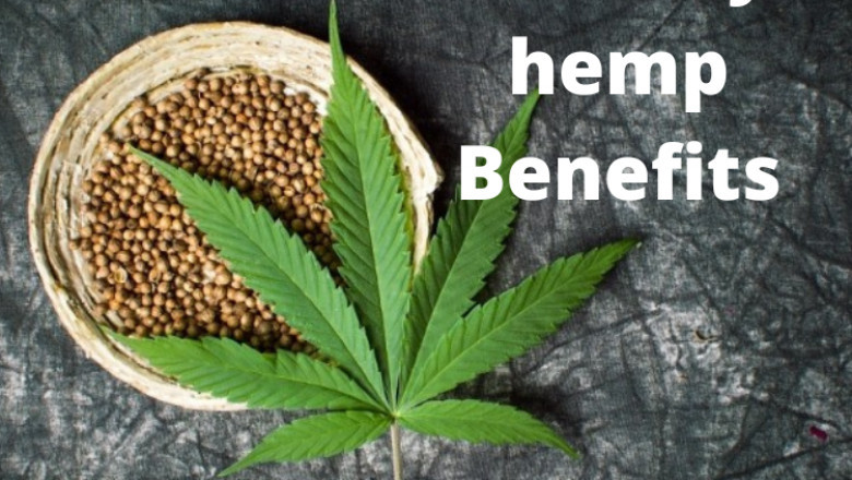 Hemp and  its ayurvedic benefits