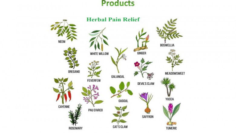 Best Herbal Medicine Manufacturer
