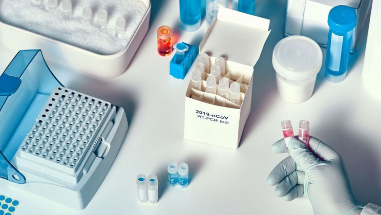 Fungal Testing Kits Market Depth Analysis and Industry Forecast