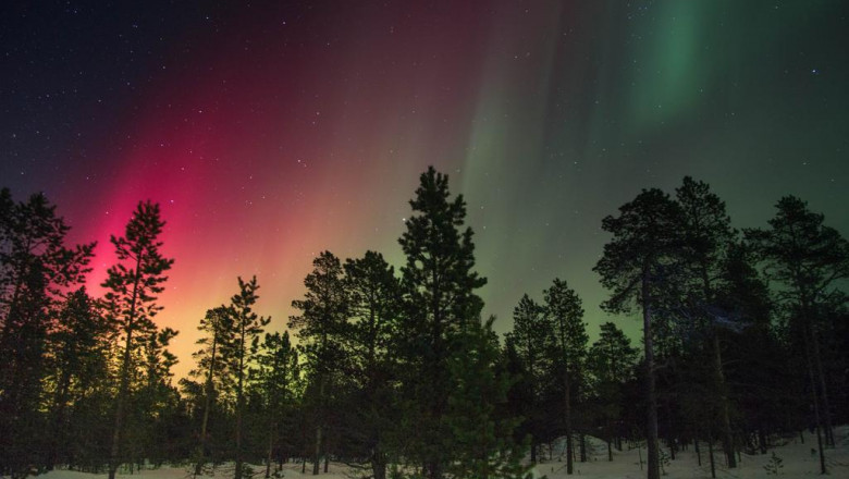 how to explain business telephone system set up wallington to a fiveyearold