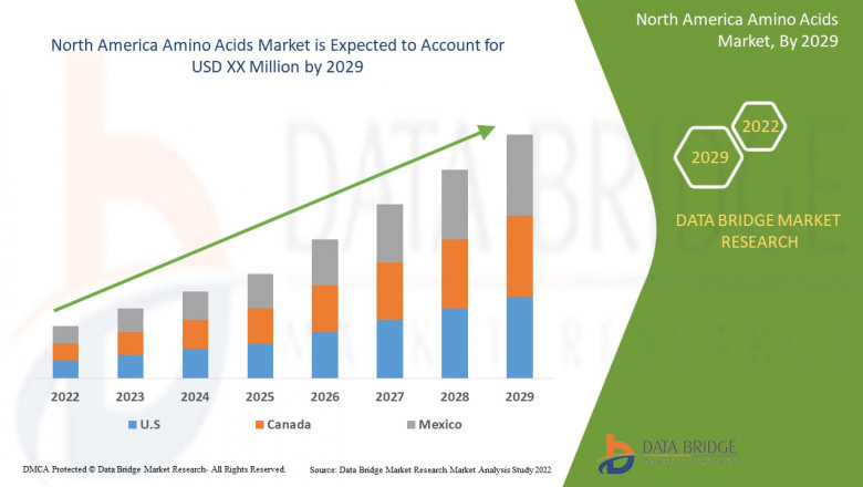 Market Analysis and Insights 2022-2029- North America Amino Acids Market