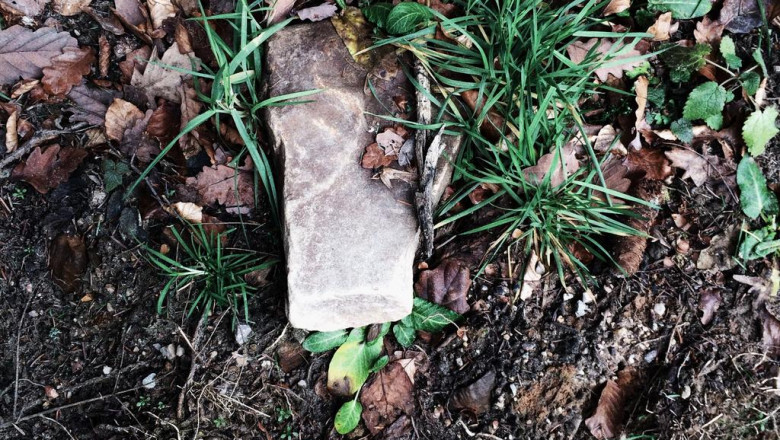 20 questions you should always ask about business telephone system installation bergen county before buying it