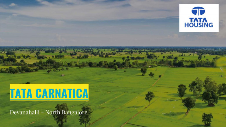 Tata Carnatica