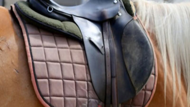 Why Is Saddlery Harness For Animals Perfect For Controlling Them?