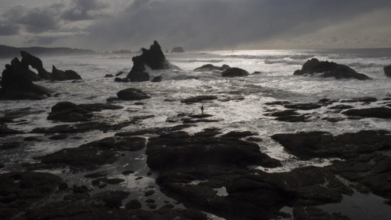 roofing contractor roof company commercial and residential roofing contractor london ontario