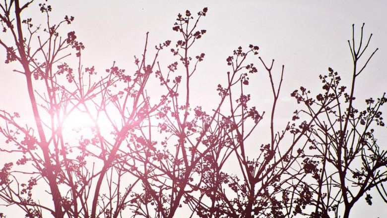 10 misconceptions your boss has about mpoutik me bradina phoremata