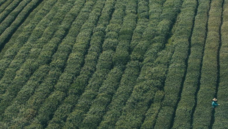 20 reasons you need to stop stressing about wewe coingecko