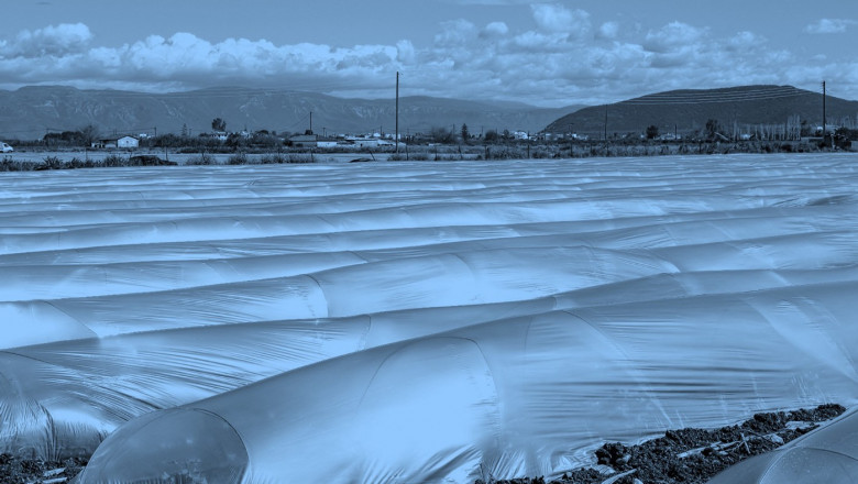 Agricultural Films Market Size In 2022 and Growth Insights to 2027 | Bis Research